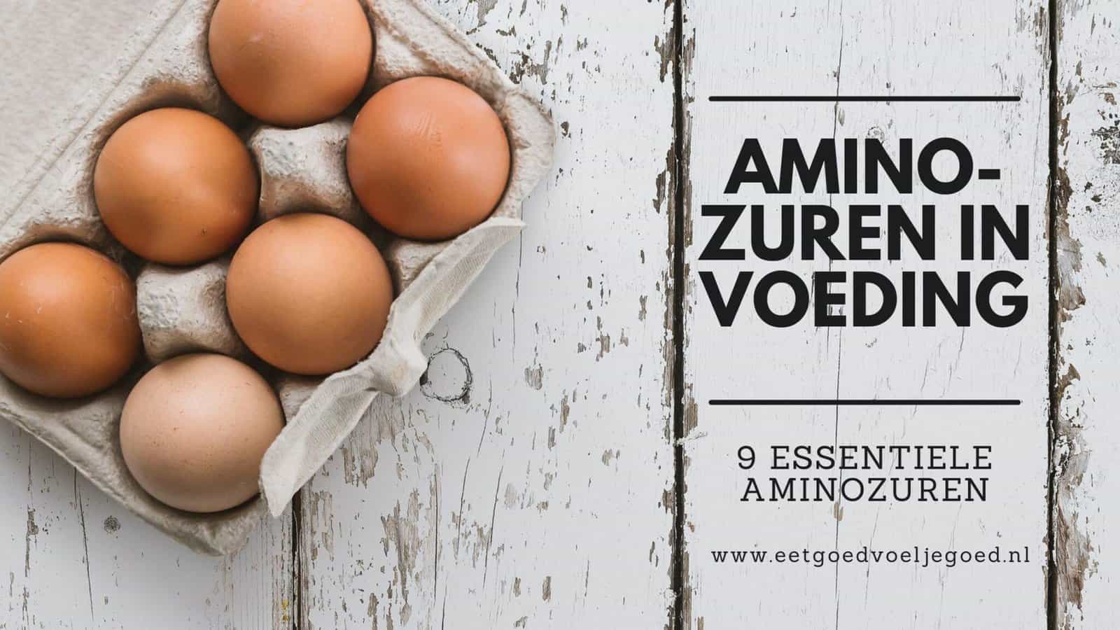 Welke 9 aminozuren zijn essentieel in je voeding? | Eet Goed Voel je Goed