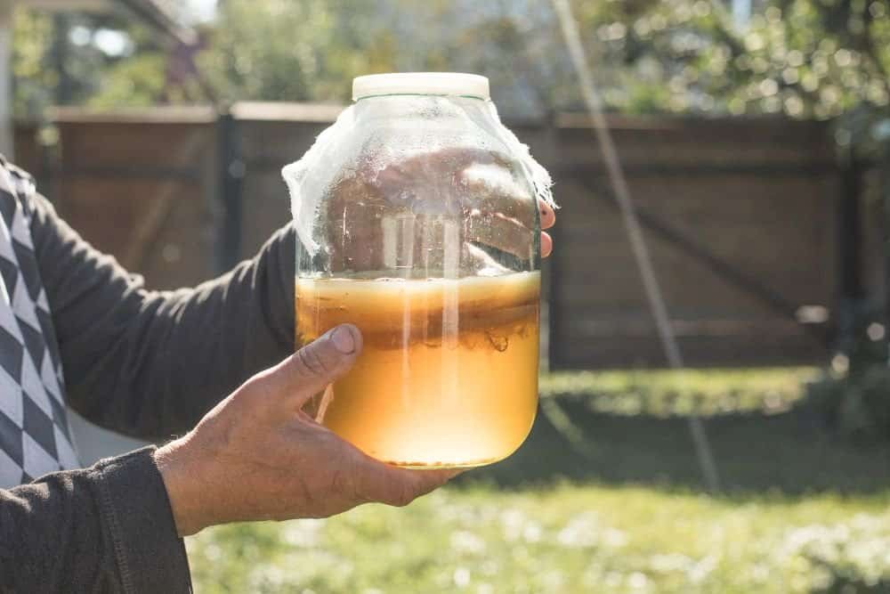 kombucha in een glazen pot