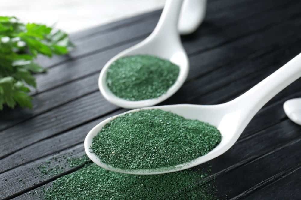 een lepel vol met spirulina