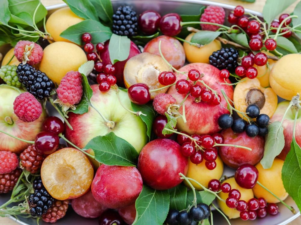 Heel veel verschillende soorten fruit