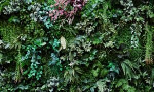 plantenwand