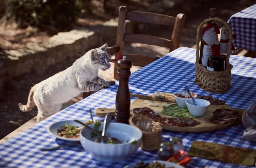 Bewuster eten: dit is de impact van je interieur op je eetgedrag