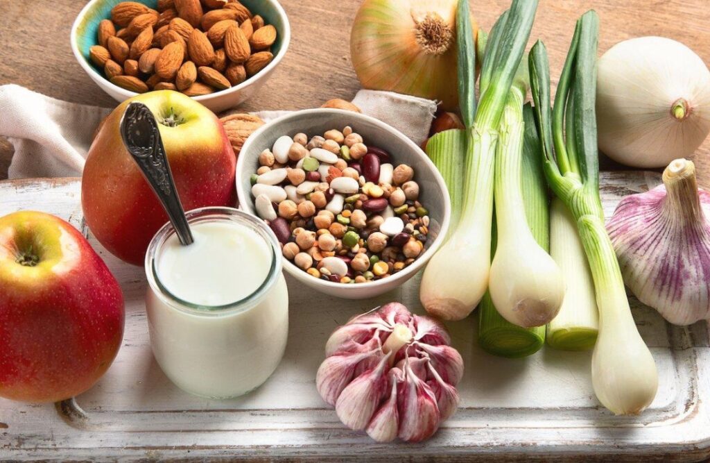 Wat is het verschil tussen prebiotica en probiotica?